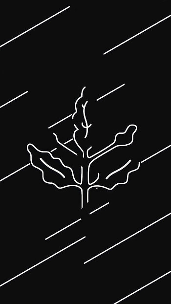 Fenerbahçe, art, terrestrial_plant HD phone wallpaper