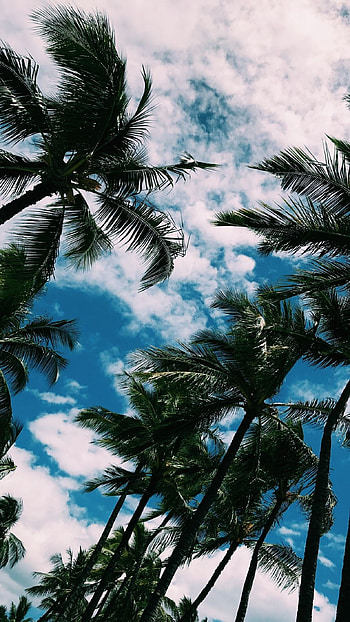 Unique, Background HD phone wallpaper