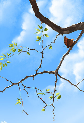 Sky, Art, Clouds, Branch, Butterfly HD phone wallpaper