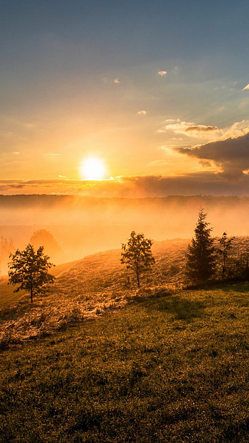 Mobile sunrise, backgrounds, Golden rays, Mesmerizing view HD phone wallpaper