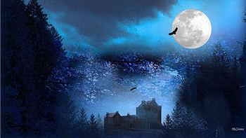 Mystical Wonders, blue, full moon, goth, mystical, mist, raven, fog, clouds, trees, sky, castle, Gothic HD wallpaper