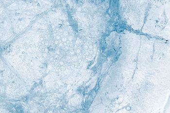 Ice, Bubbles, Macro, Texture, Textures, Frozen HD wallpaper