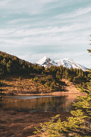 Landscape, Nature, Rivers, Trees, Mountains, Shore, Bank HD phone wallpaper