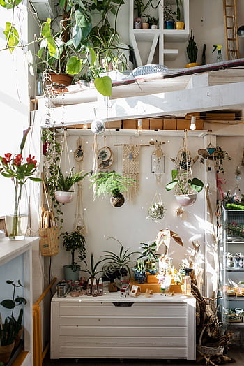 Bright and cozy loft space featuring lush green plants, stylish decor, and natural sunlight. HD phone wallpaper