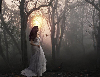 A Walk To Remember, bird, woods, sunlight, girl, beautiful, misty, woman, mist, white dress, fantasy, forest HD wallpaper