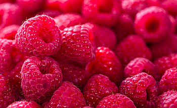 Raspberry, fruits, close up, fresh HD wallpaper
