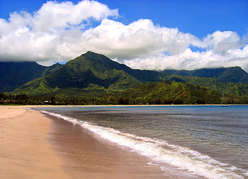 Hanalei Hawaii, hanalei, mountains, hawaii, beach HD wallpaper