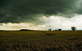 Nature, Sky, Clouds, Field, Gloomy HD wallpaper