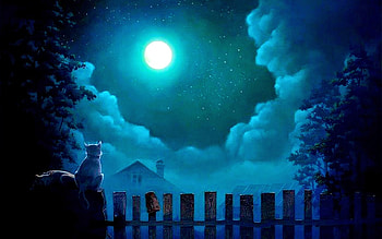 Moonlight, night, blue, cat, pisica, moon, fantasy, fence, luna, luminos HD wallpaper