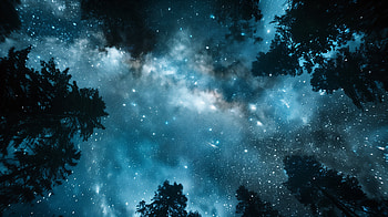 Quad Starry Night Sky — Celestial Canopy, night, sky, Stars HD wallpaper