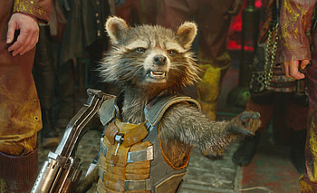 Rocket raccoon, James Gunn, Marvel movies, Voice actor Bradley Cooper HD wallpaper