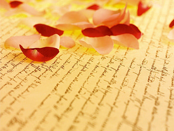 Macro, Rose Flower, Rose, Petals, Inscription, Paper HD wallpaper