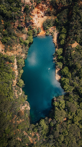 Nature, Trees, View From Above, Lake, Forest HD phone wallpaper