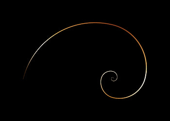 Golden Ratio, Fibonacci spiral, Divine proportion, Nautilus shell HD wallpaper