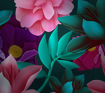Flowers, leaves, huawei mate 10, stock HD wallpaper