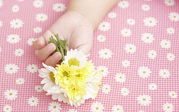 Flowers, Hand, Miscellanea, Miscellaneous, Kid, Tot, Child HD wallpaper