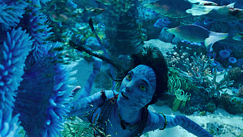 Avatar 2: The Way of Water -, water, Avatar: The Way of Water HD wallpaper
