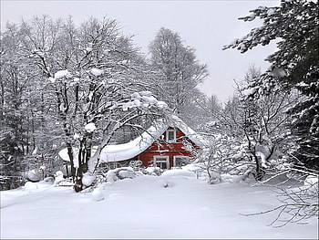 Blanket of winter, winter, frost, snow, red, trees, cottage, ground covered HD wallpaper