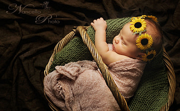 *** Sleeping girl in basket ***, children, baby, sleeping, people, child HD wallpaper