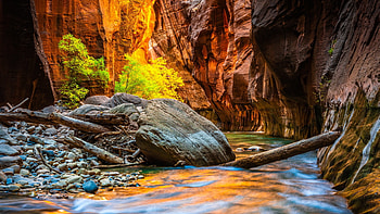 Zion Narrows Canyon, Utah State, United States, Beautiful Views HD wallpaper