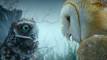 Legend of the Guardians: The Owls of Ga'Hoole, Exciting animation, Captivating adventure, Heroic owls HD wallpaper