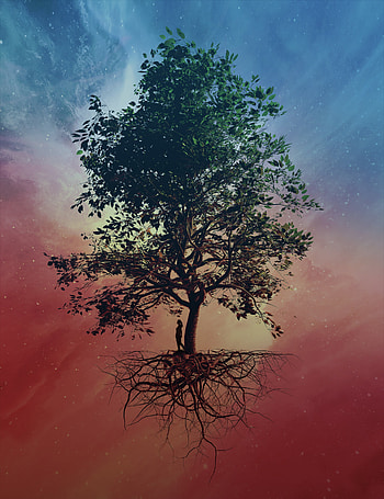 Sky, Art, Silhouette, Wood, Tree HD phone wallpaper