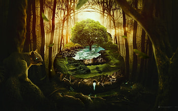 The tree, fantasy, art, light, ography, luminos, dark, squirrel, tree HD wallpaper