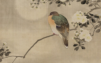 Sleeping dove, branch, dove, bird, moon, art, pasare, luna, chinese HD wallpaper