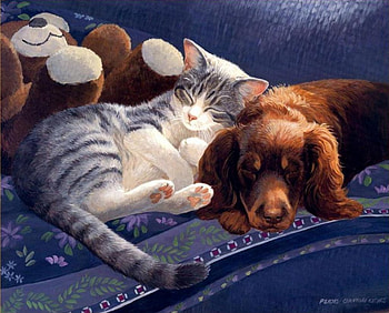 Friends, dog, artwork, sofa, painting, teddybear, cat HD wallpaper