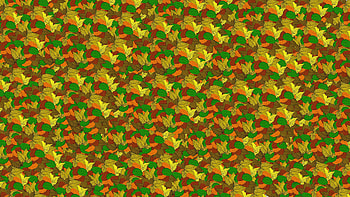 Autumn, Leaves, Patterns, Texture, Textures HD wallpaper