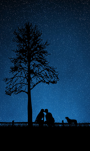 Love, Wood, Couple, Pair, Tree, Dog, Silhouettes, Starry Sky, Kiss HD phone wallpaper