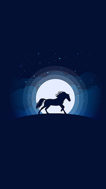 equestrian , Cat HD phone wallpaper