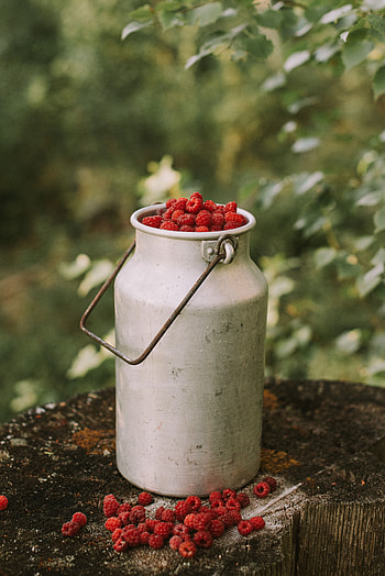 Food, Raspberry, Berries, Harvest, Can HD phone wallpaper