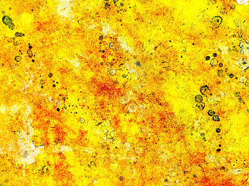 Abstract, Drops, Spray, Paint, Blots HD wallpaper