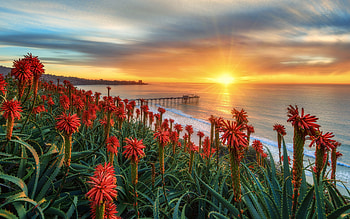 Sunset Over Beach, pier, coast, beach, sunset HD wallpaper