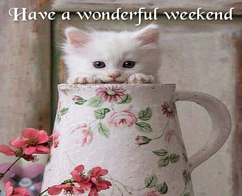 Have a Wonderful Weekend, Animals, White, Weekend, Cats, Kitten HD wallpaper