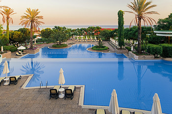 Palms, Miscellanea, Miscellaneous, Tropics, Resort, Pool HD wallpaper