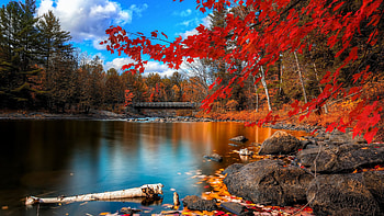 Autumn , Ultra , Nature-inspired backgrounds, Serene scenes HD wallpaper