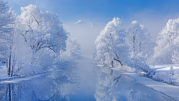 River Between Snow Covered Trees Under Blue Sky Reflection On Water Winter HD wallpaper