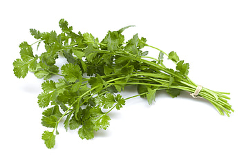 Naturopathic kitchen, Cilantro 101, Health benefits, AANMC HD wallpaper