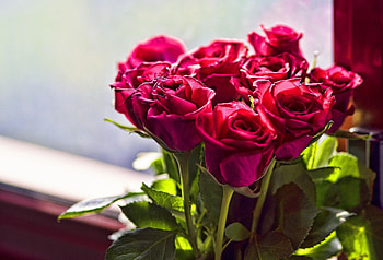 Flowers, Roses, Leaves, Shine, Light, Blur, Smooth, Bouquet HD wallpaper