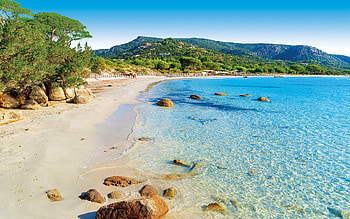 Corsica Island, Sun and turquoise sea, Sand beach, Palombaggia HD wallpaper