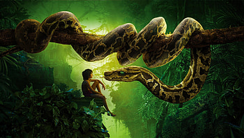 The Jungle Book (2022) movie HD wallpaper