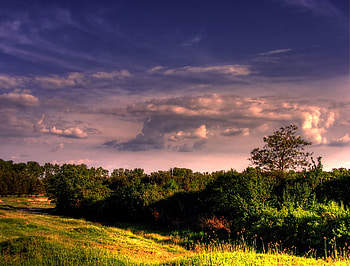 Radiance in the Sky, colorful, beautiful sky, woods, vivid, trees, grass HD wallpaper