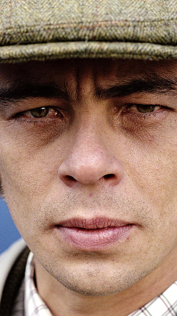 Benicio Del Toro, Screen beauty, Brunette man, Striking appearance HD phone wallpaper