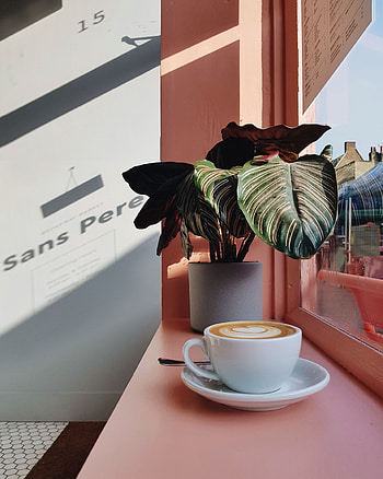 Food, Pink, Coffee, Flower, Cup, Window, Window Sill, Windowsill HD phone wallpaper