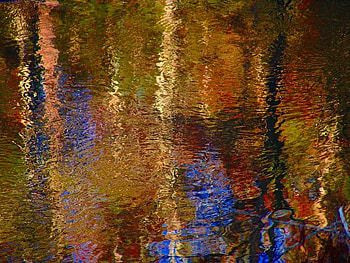 Autumn Reflections, autumn, colors, reflection, water HD wallpaper
