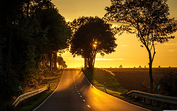 Golden Sunset, roy, graphy, dusk, beauty, brown, , trees, road, , warm, sunset, golden, sepia, orange, shadows, pretty, nature HD wallpaper