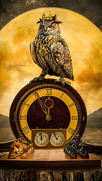 Owl 02, reloj, ajedrez, chess, naturaleza, tiempo, animal, clock, time HD phone wallpaper