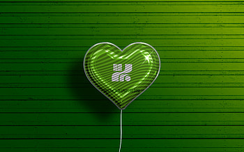 I Love Tochigi, , realistic balloons, green wooden background, Day of Tochigi, japaenese prefectures, flag of Tochigi, Japan, balloon with flag, Prefectures of Japan, Tochigi flag, Tochigi HD wallpaper